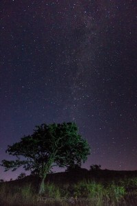 Snowdonia milky way-2