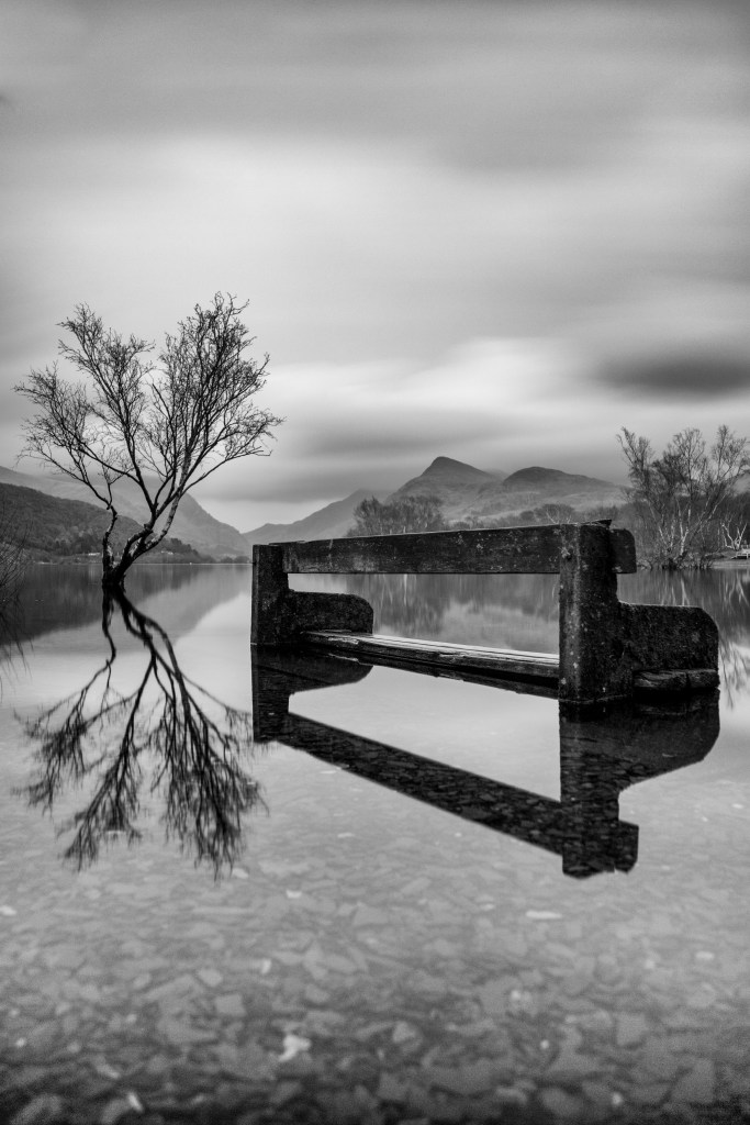 Benched Reflections